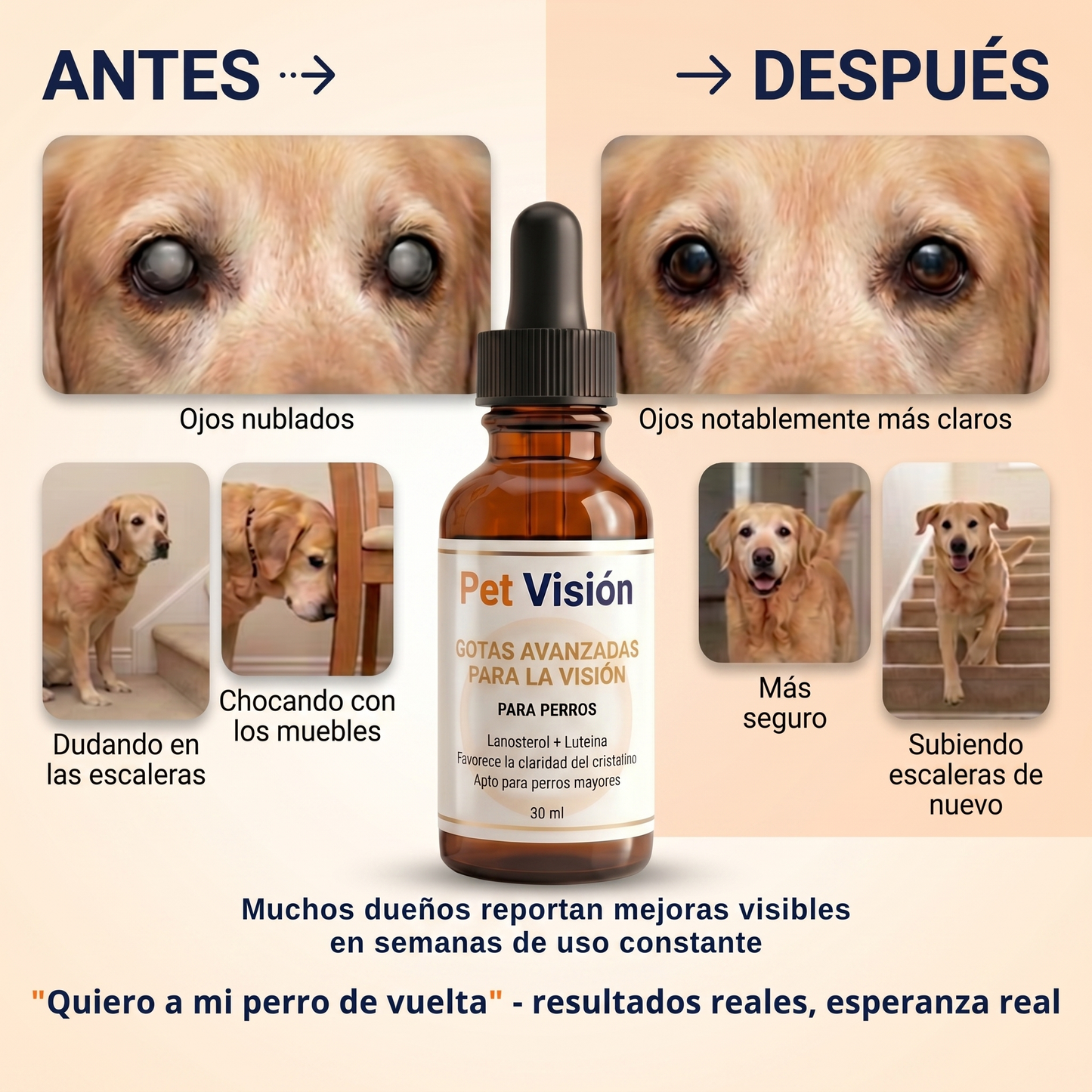 Fórmula Avanzada para Visión Canina