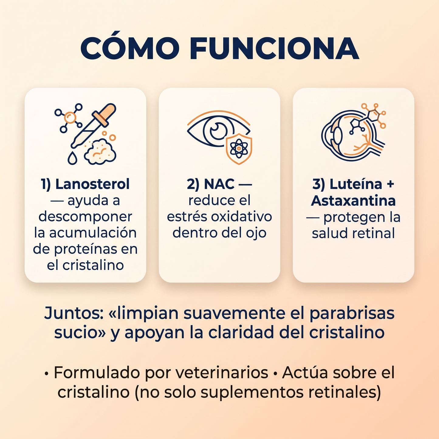 Fórmula Avanzada para Visión Canina