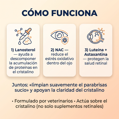 Fórmula Avanzada para Visión Canina