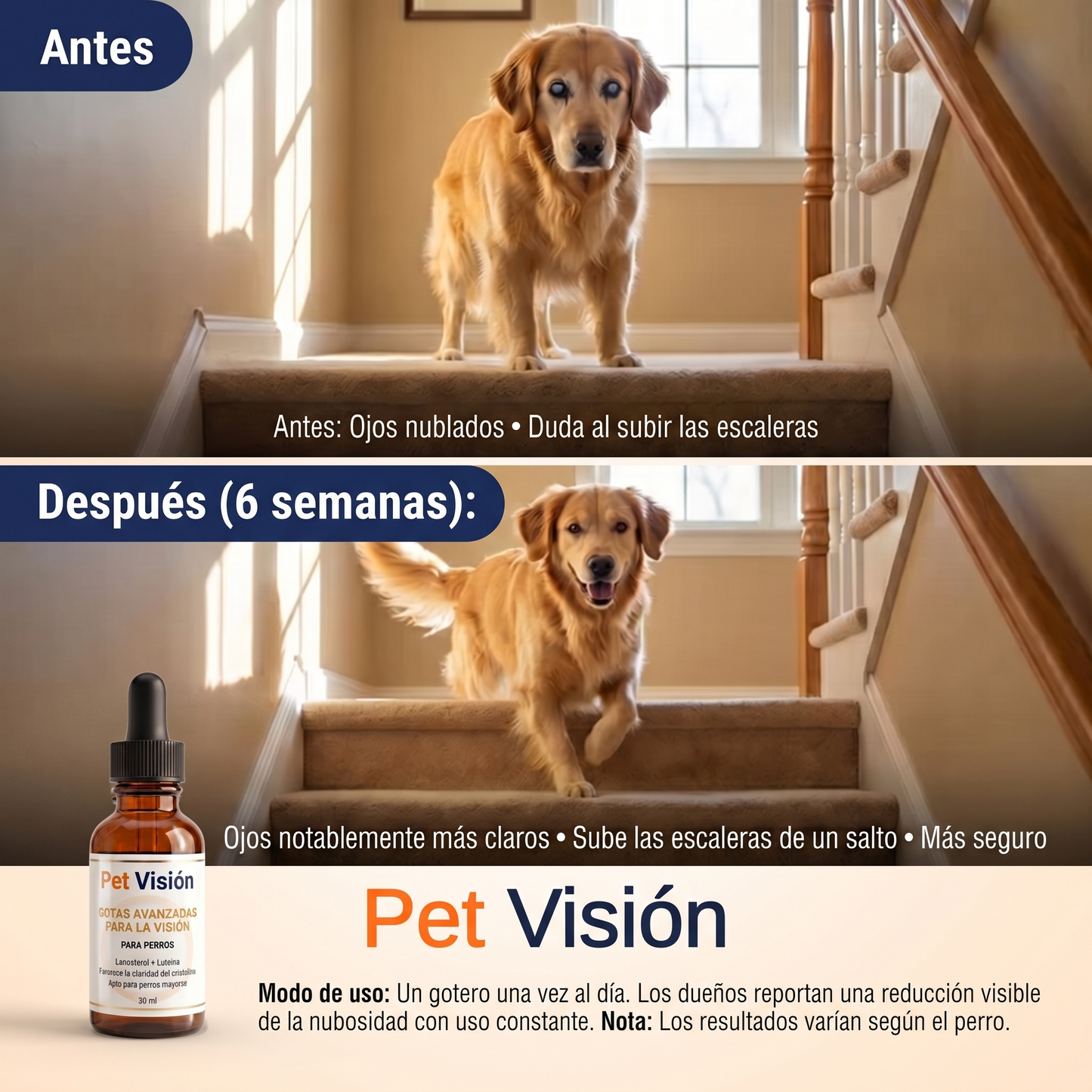 Fórmula Avanzada para Visión Canina